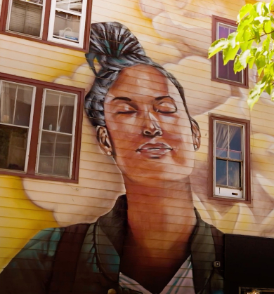 The Finch Apartments - Dartmouth, Nova Scotia